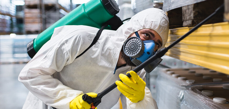 Preventing Cockroach Entry Through Pipes